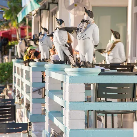 Penguin Hotel-2
